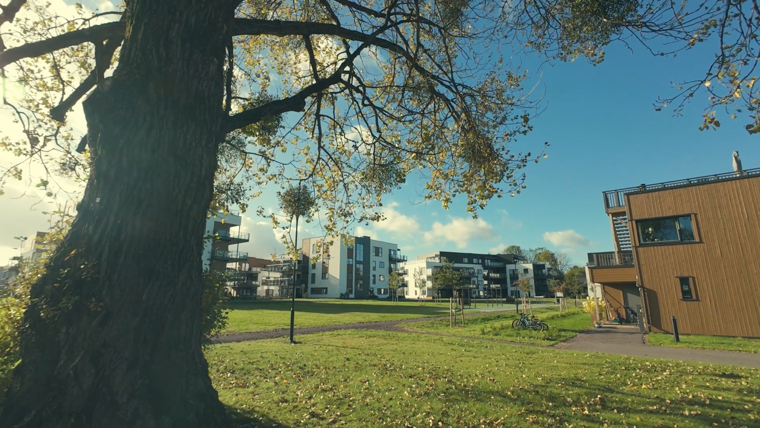 Screenshot Fra Video